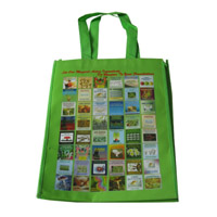 肇庆LB11覆膜无纺布广告袋