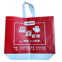 肇庆LB37培训班广告袋